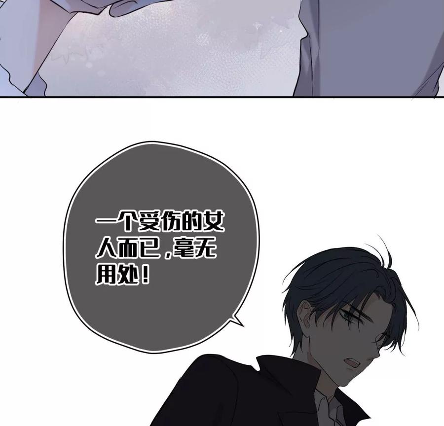 《遇见织女的300天》总裁影帝都爱我 第11页