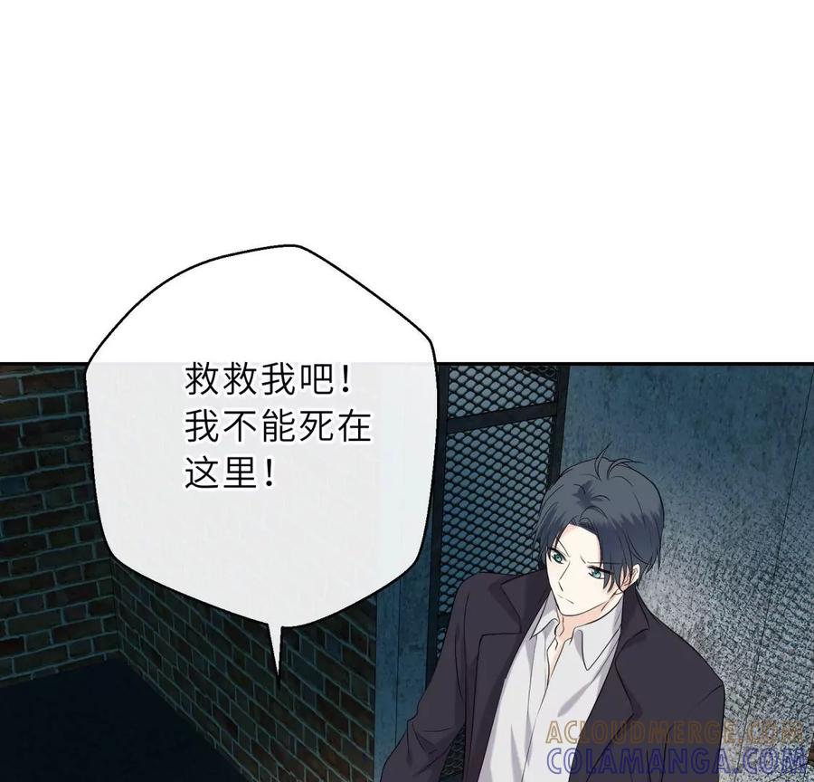 《遇见织女的300天》总裁影帝都爱我 第5页