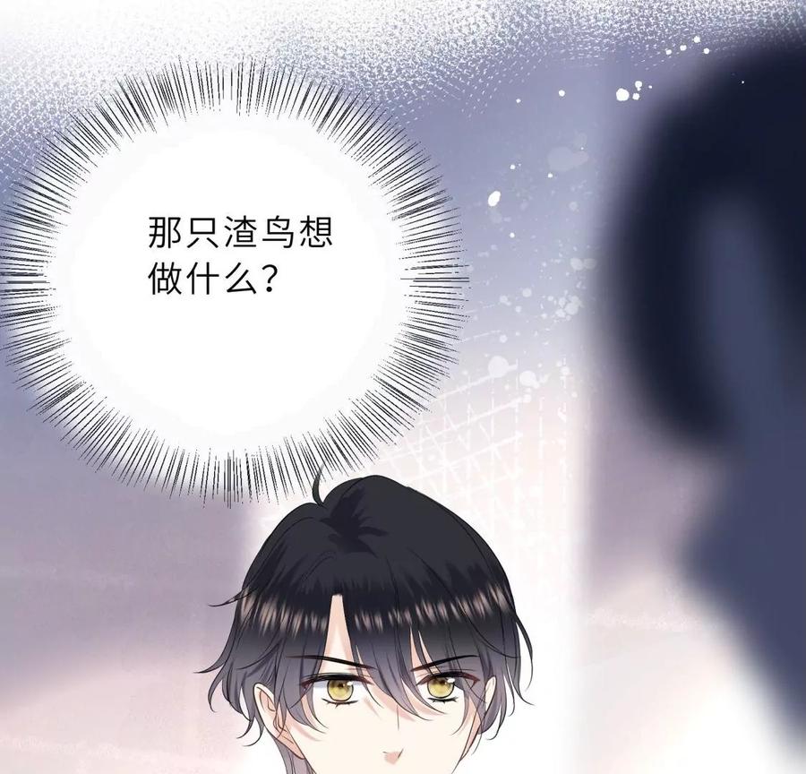 《遇见织女的300天》总裁影帝都爱我 第35页
