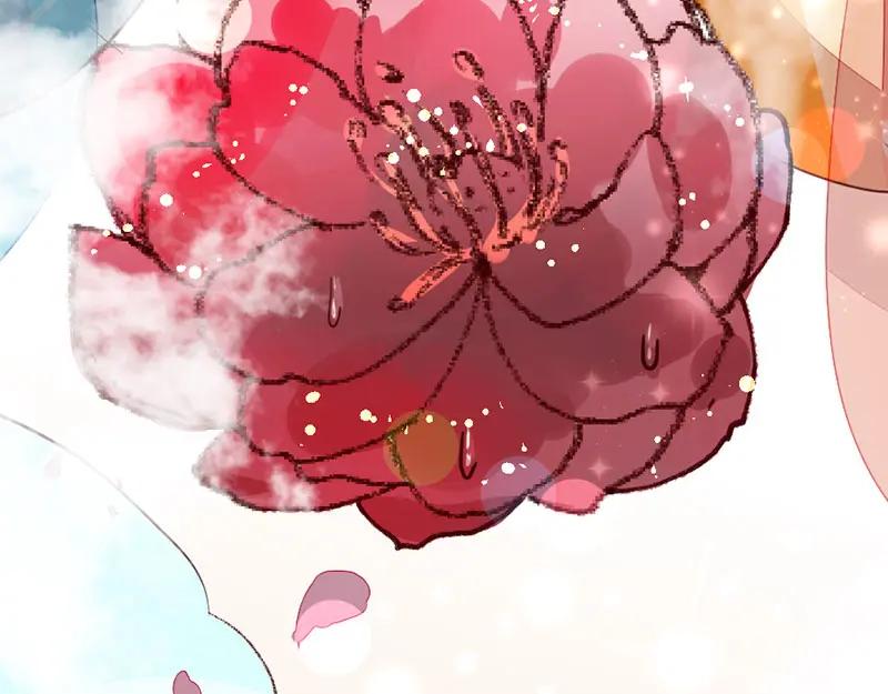 《爆笑小萌妃》番外-小黑猪 第12页