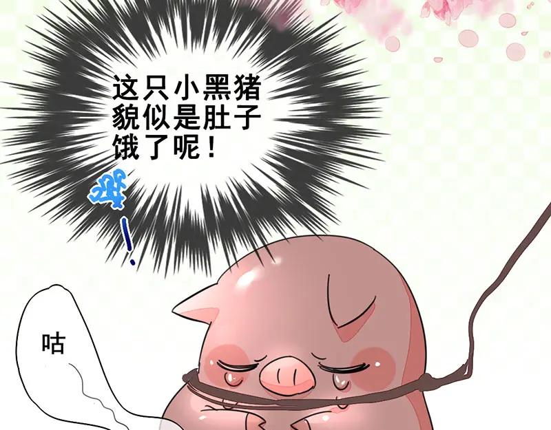 《爆笑小萌妃》番外-小黑猪 第29页