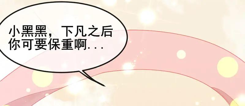 《爆笑小萌妃》番外-小黑猪 第8页