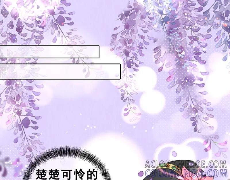《爆笑小萌妃》番外-小黑猪 第31页