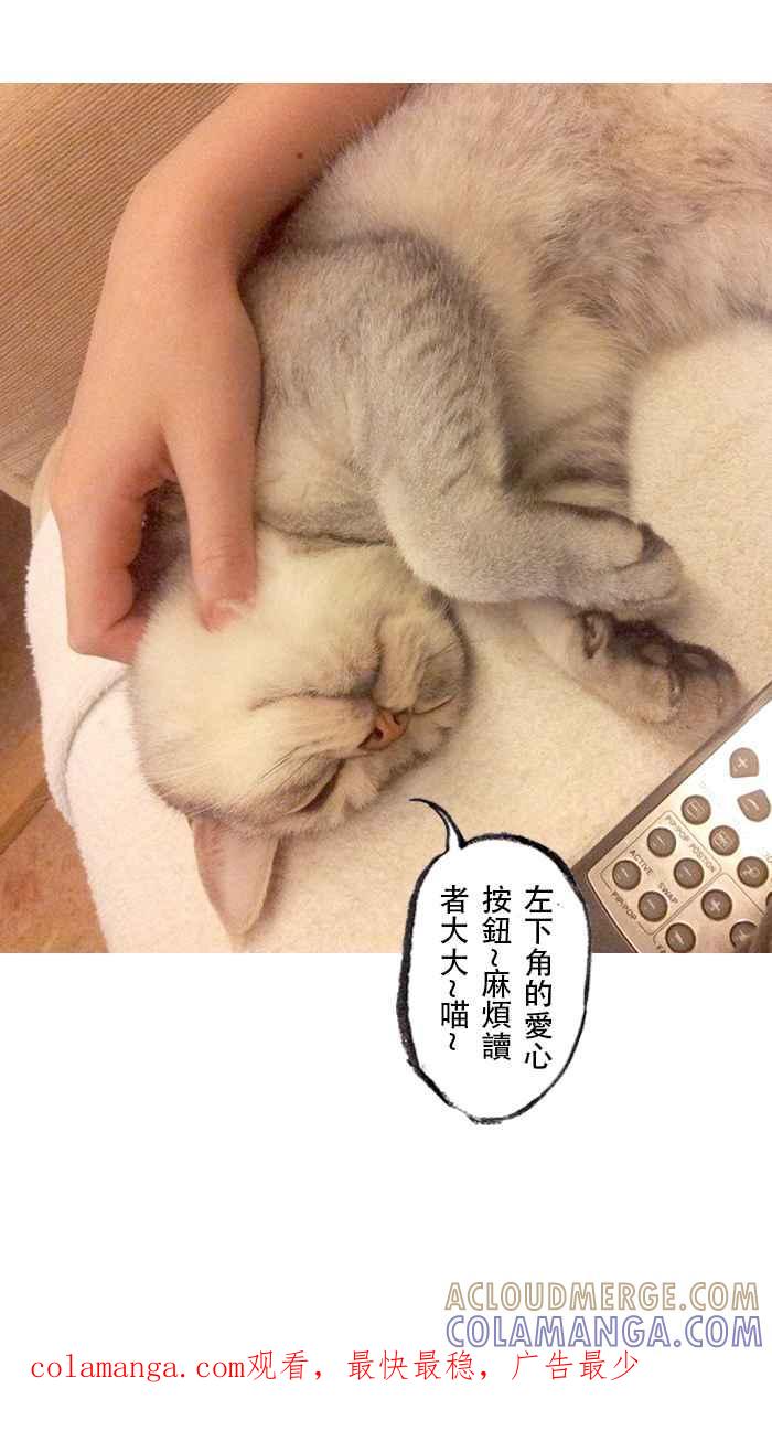 猫剑客 [第93话] 折翼天使 参拾陆，母亲 第37页