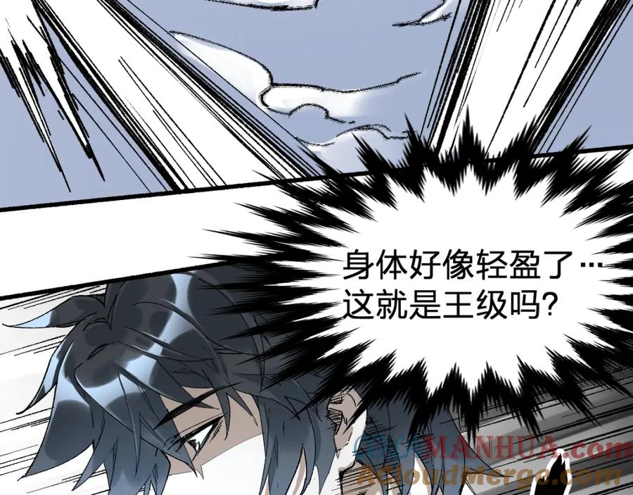 圣墟 第82话 枷锁阶的实力 第113页