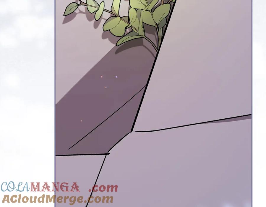 《这个婚反正也要完蛋》第90话 我等你，我爱你 第33页