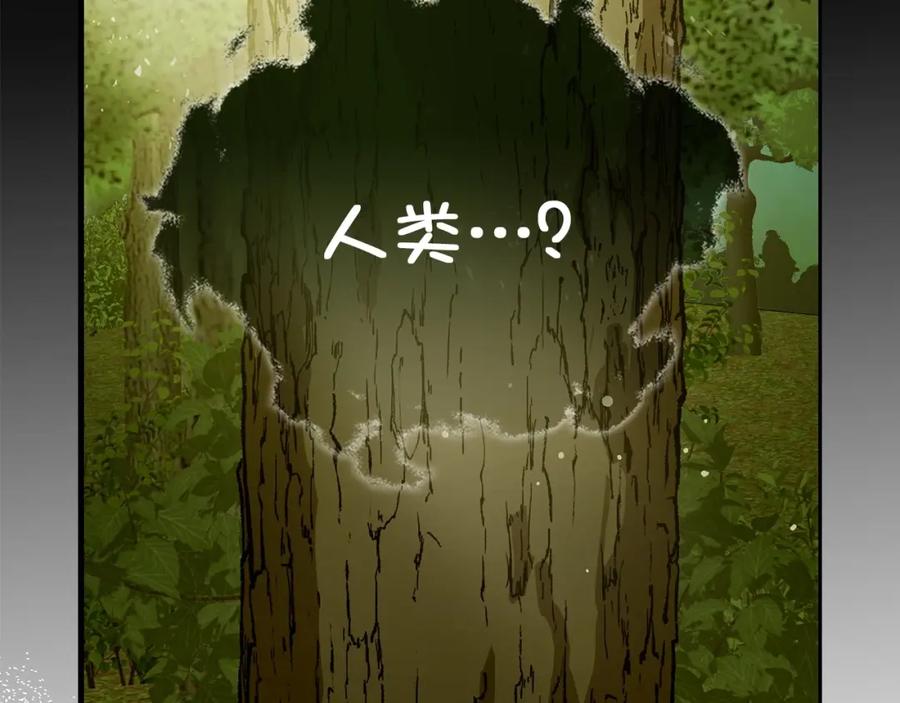 圣子是什么狗屁，这是现代医学的力量 - 第11话 森林精灵 - 第146张图