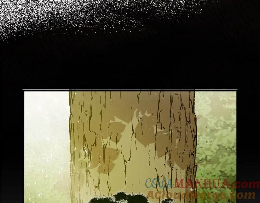 圣子是什么狗屁，这是现代医学的力量 - 第11话 森林精灵 - 第145张图