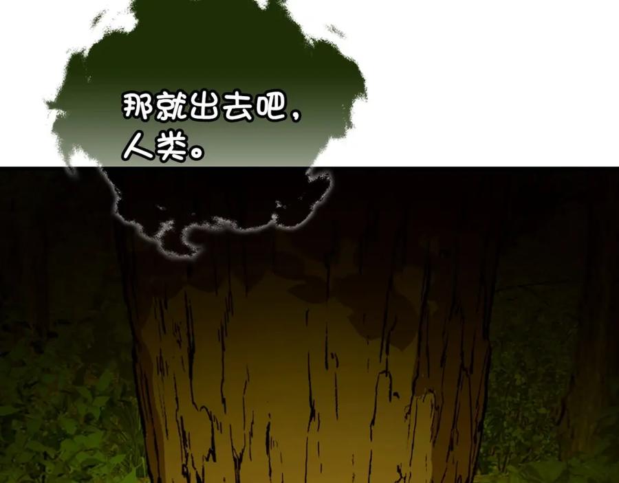 圣子是什么狗屁，这是现代医学的力量 - 第11话 森林精灵 - 第155张图