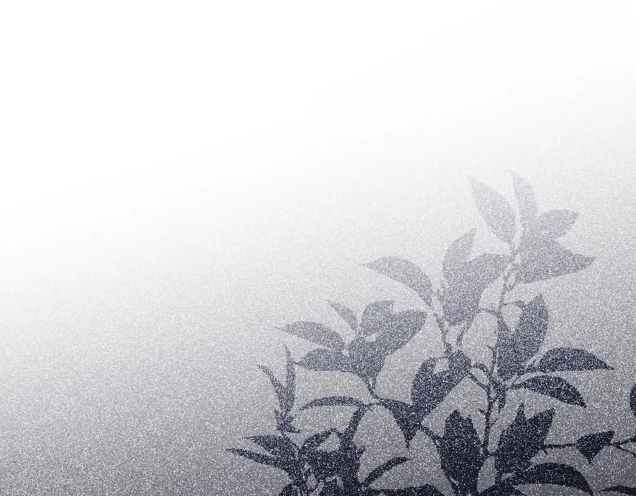 圣子是什么狗屁，这是现代医学的力量 - 第1话 神医穿越到魔法世界 - 第108张图