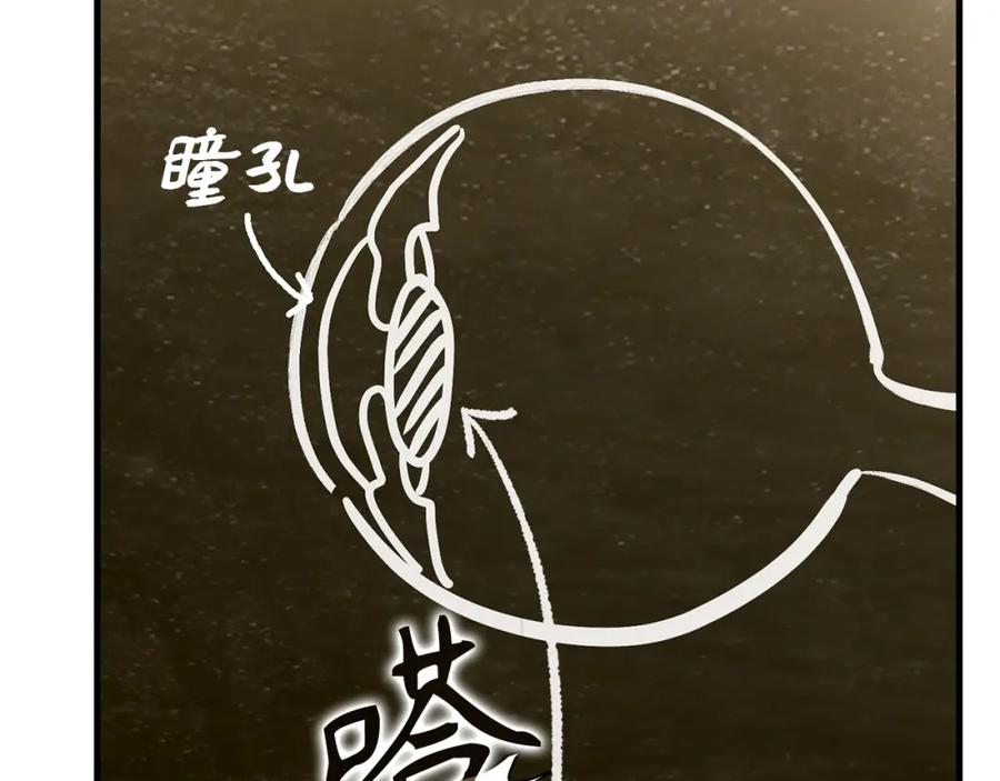 圣子是什么狗屁，这是现代医学的力量 - 第41话 白内障 - 第46张图