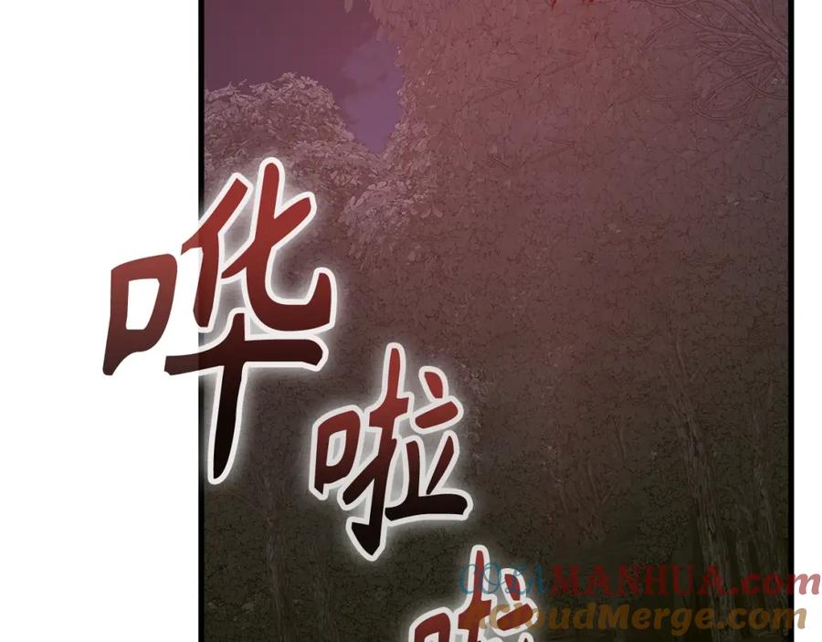 圣子是什么狗屁，这是现代医学的力量 - 第63话 罗伊归来 - 第177张图