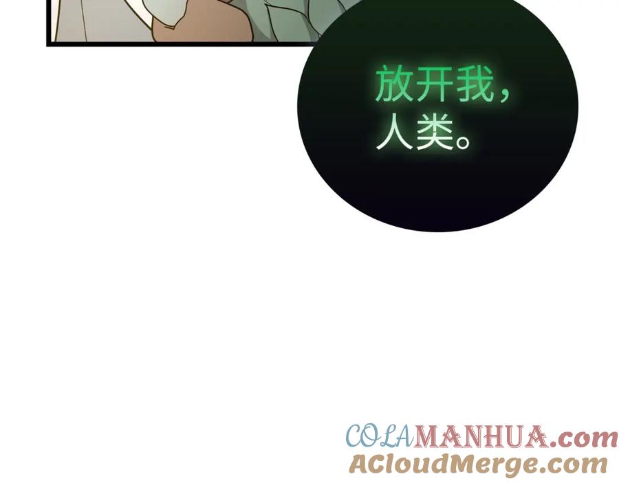 圣子是什么狗屁，这是现代医学的力量 - 第69话 面见精灵 - 第33张图