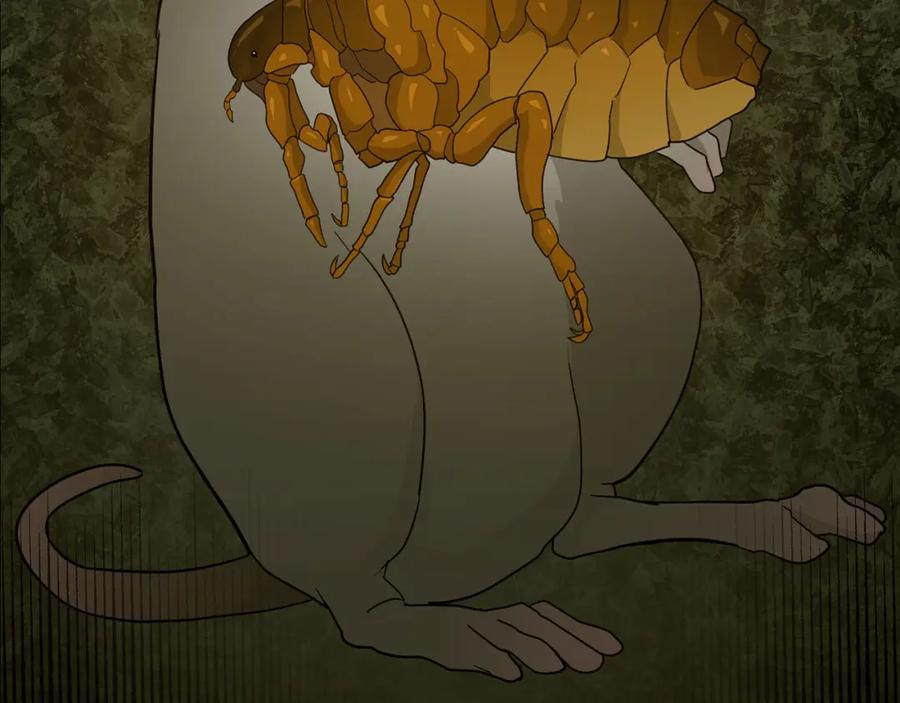 圣子是什么狗屁，这是现代医学的力量 - 第71话 黑死病 - 第90张图