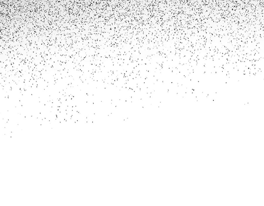 圣子是什么狗屁，这是现代医学的力量 - 第8话 找出白发圣子 - 第47张图