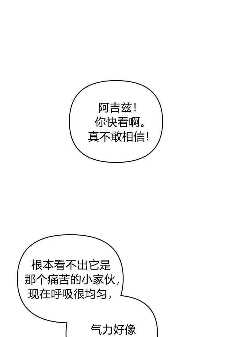 成为苏尔坦珍爱的猫咪 第31话 第82页