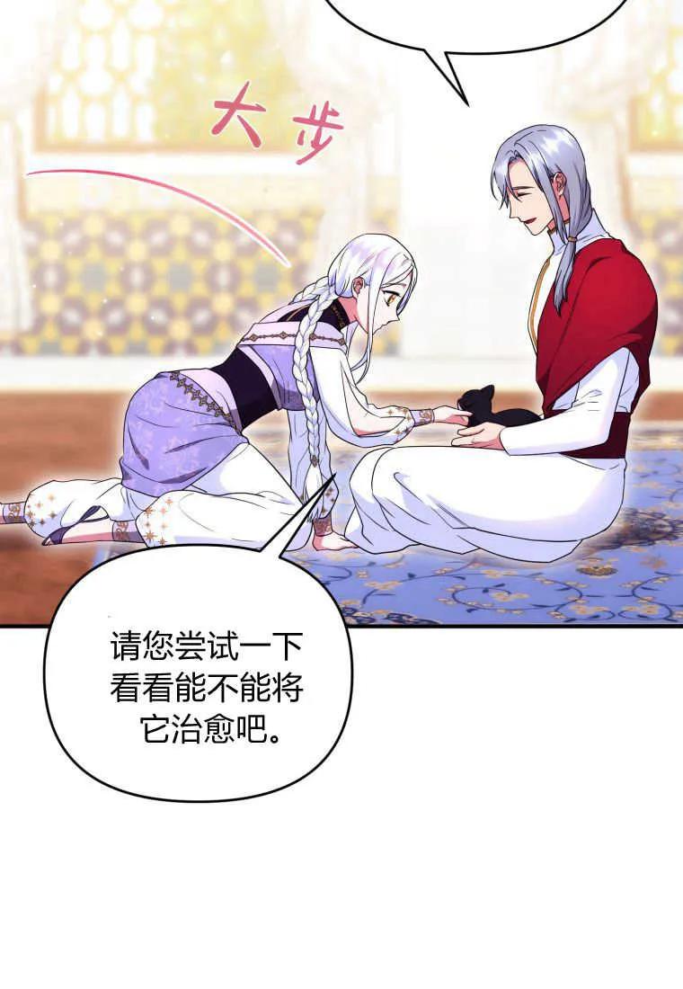成为苏尔坦珍爱的猫咪 第31话 第63页