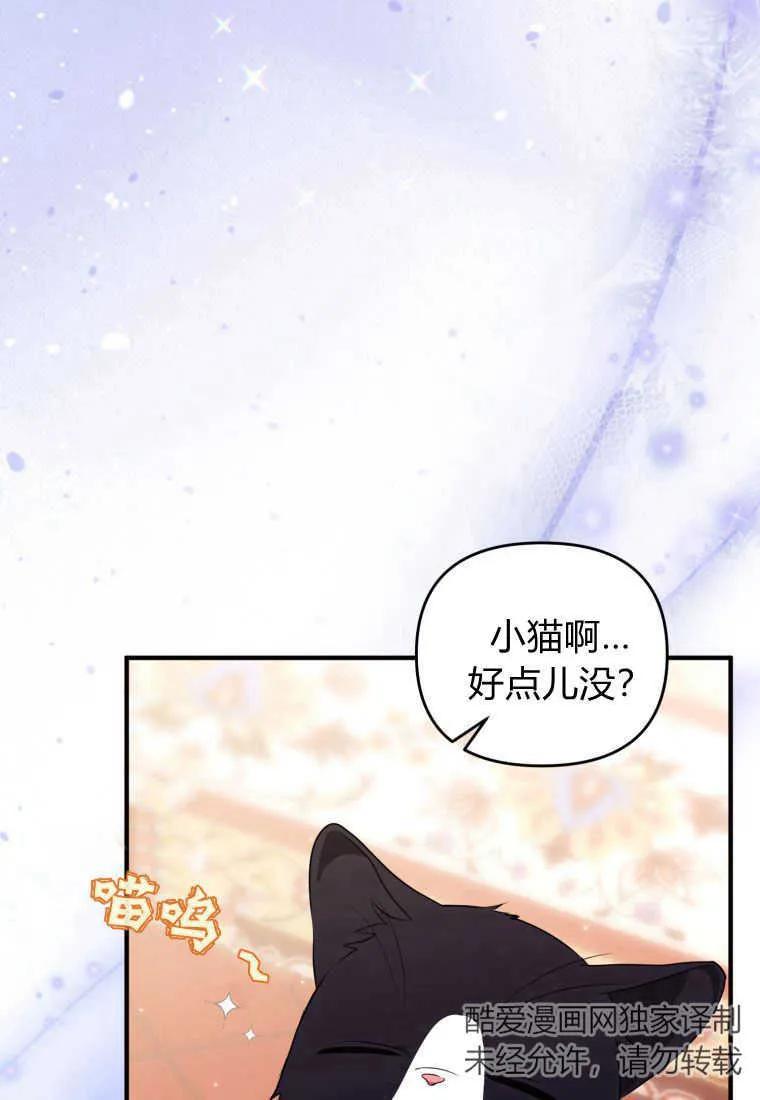 成为苏尔坦珍爱的猫咪 第31话 第79页