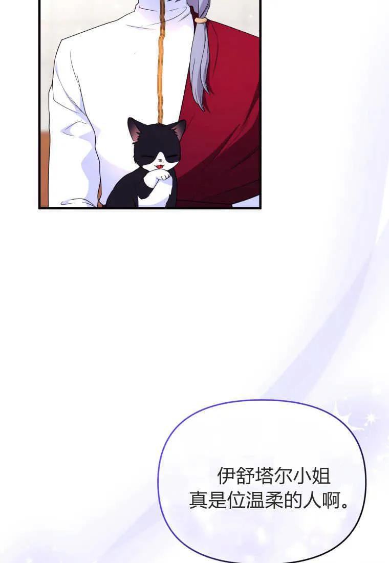 成为苏尔坦珍爱的猫咪 第31话 第103页
