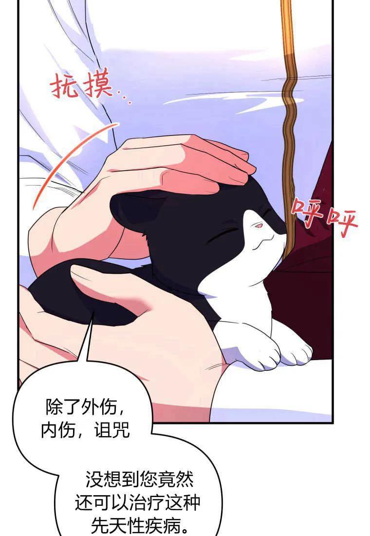 成为苏尔坦珍爱的猫咪 第31话 第92页
