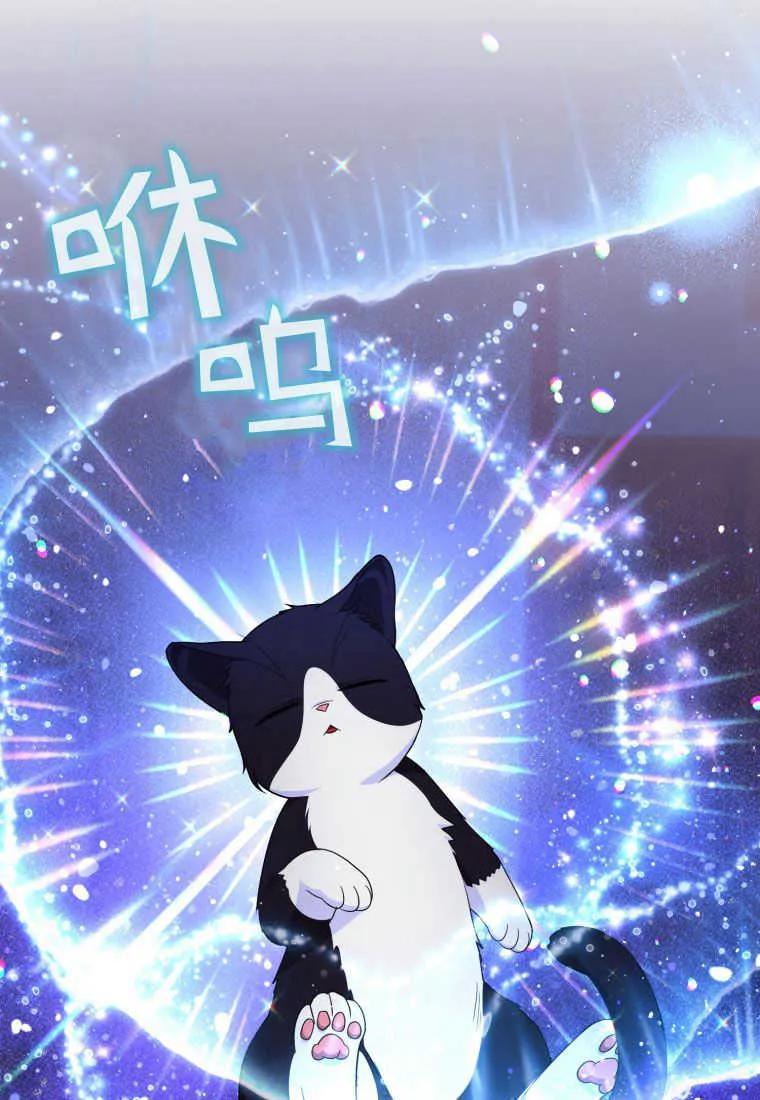 成为苏尔坦珍爱的猫咪 第31话 第76页