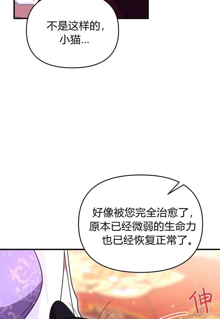 成为苏尔坦珍爱的猫咪 第31话 第88页