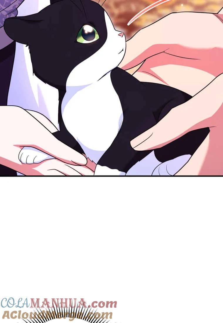 成为苏尔坦珍爱的猫咪 第31话 第89页