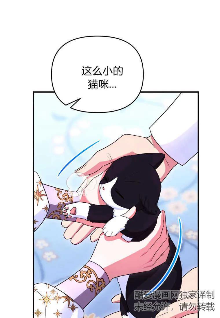 成为苏尔坦珍爱的猫咪 第31话 第64页