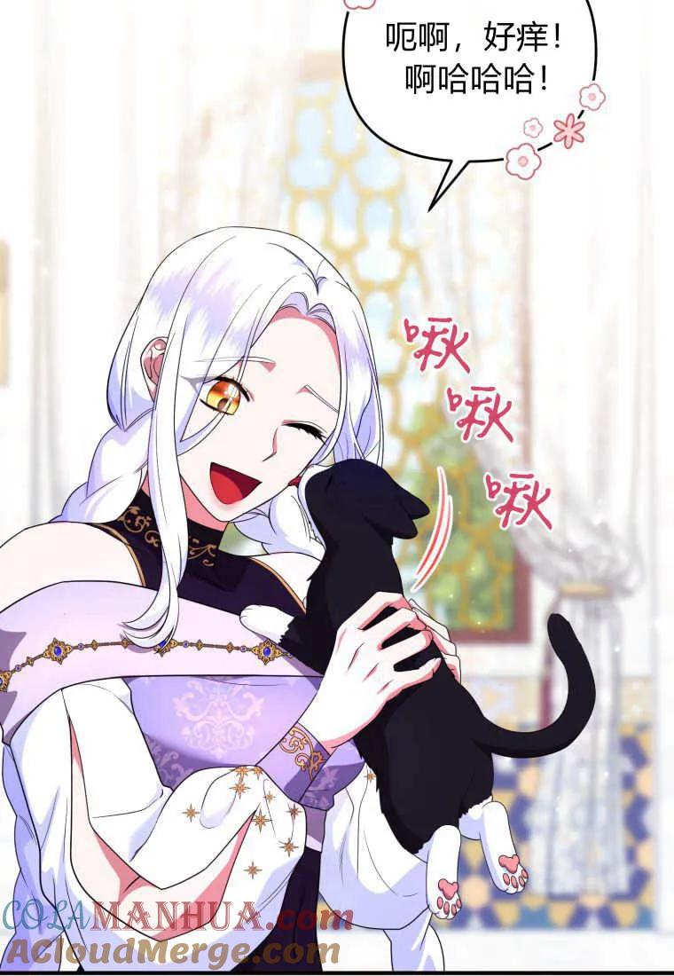 成为苏尔坦珍爱的猫咪 第31话 第81页
