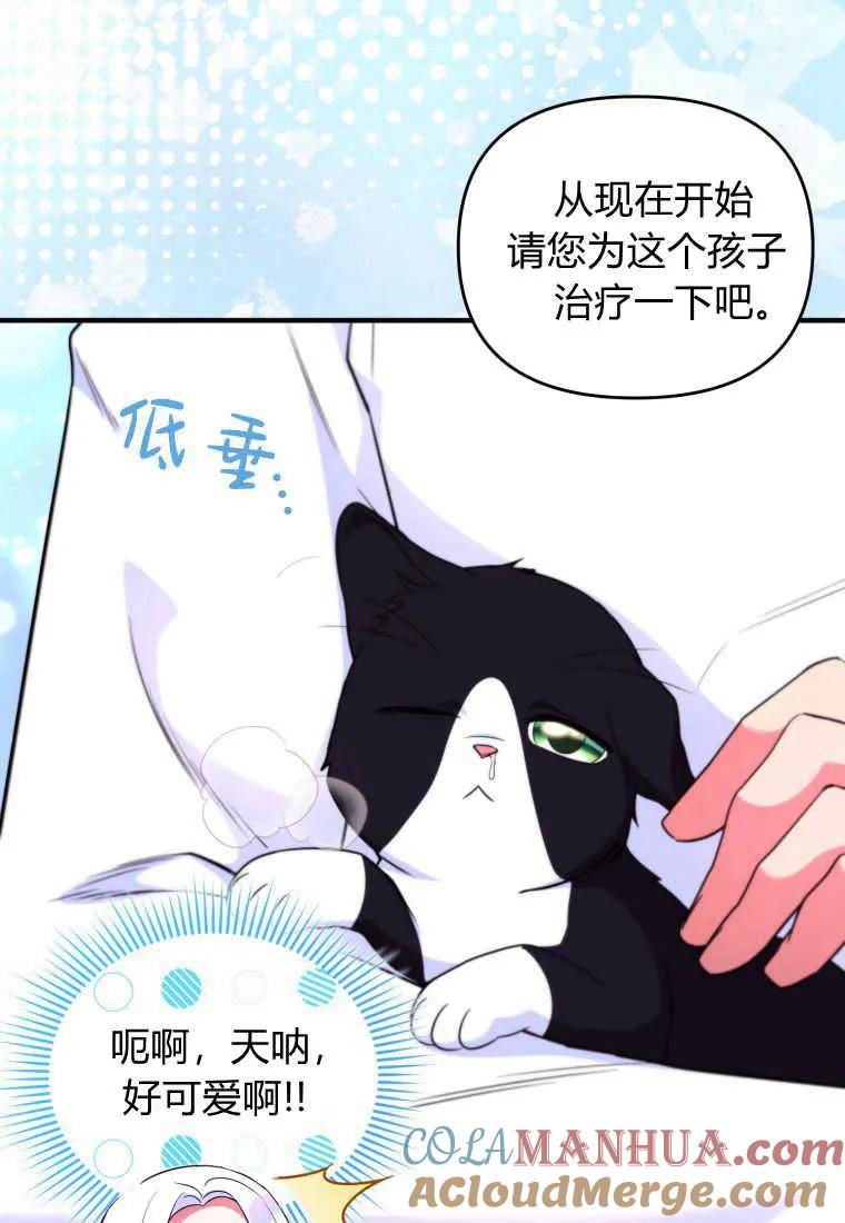 成为苏尔坦珍爱的猫咪 第31话 第61页