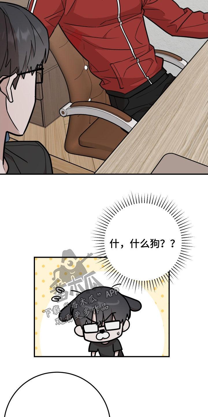 《被不良缠上》第25章：坦白 第14页