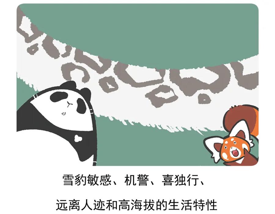 《胖达x胖达》第94话 第24页