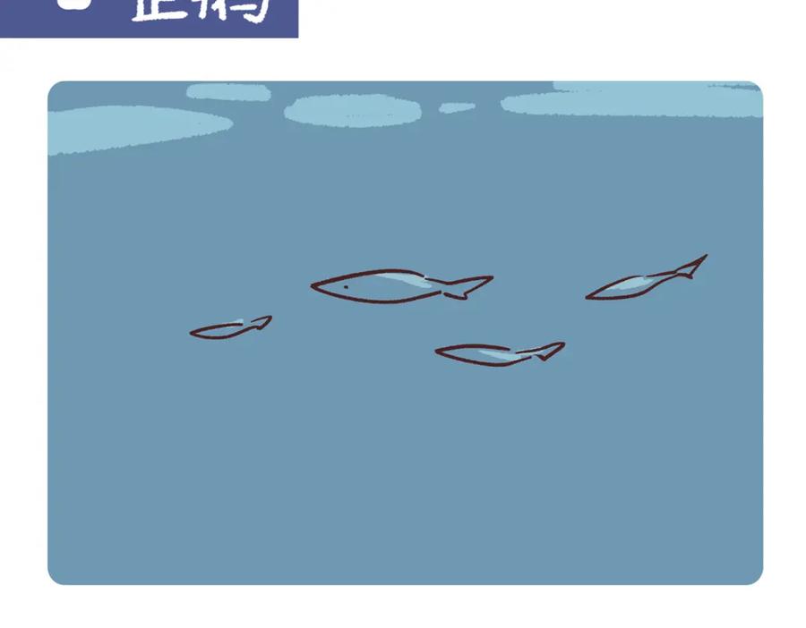 《胖达x胖达》第271话 第2页
