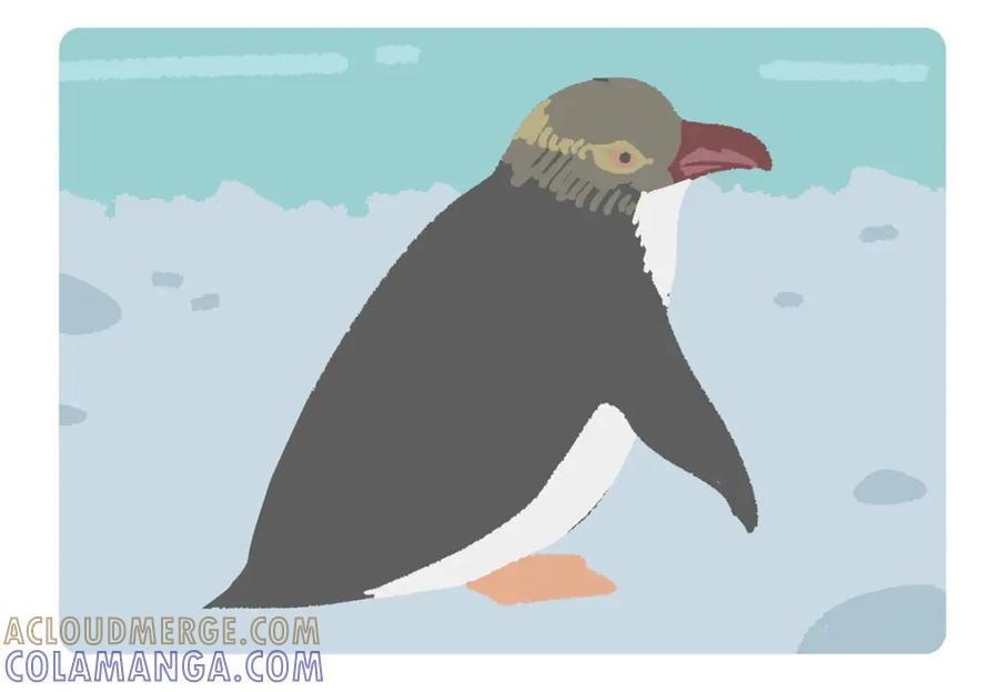 《胖达x胖达》第271话 第9页