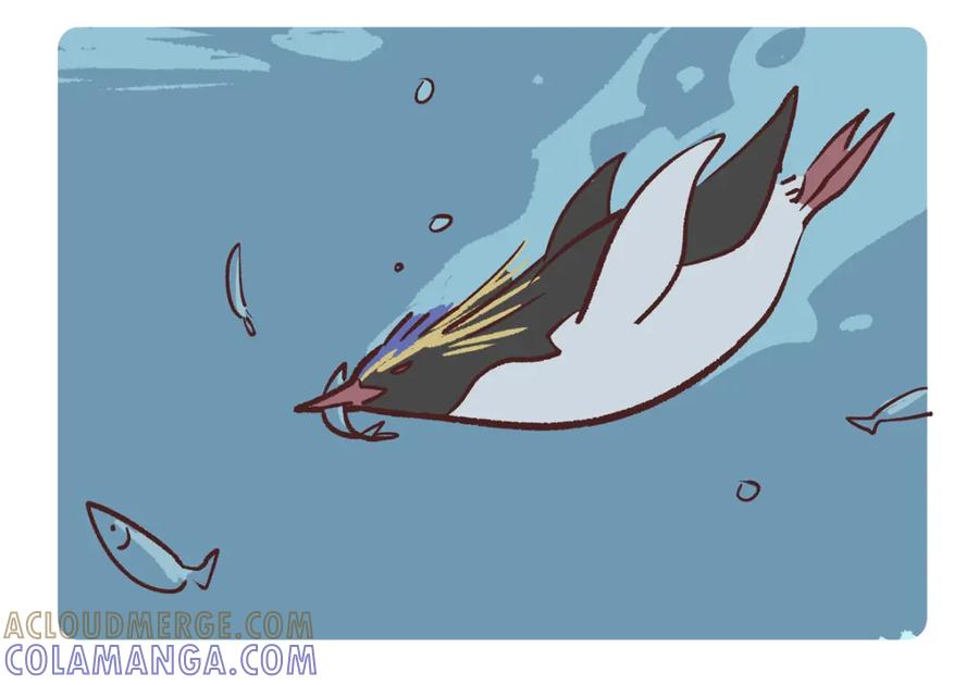 《胖达x胖达》第271话 第3页