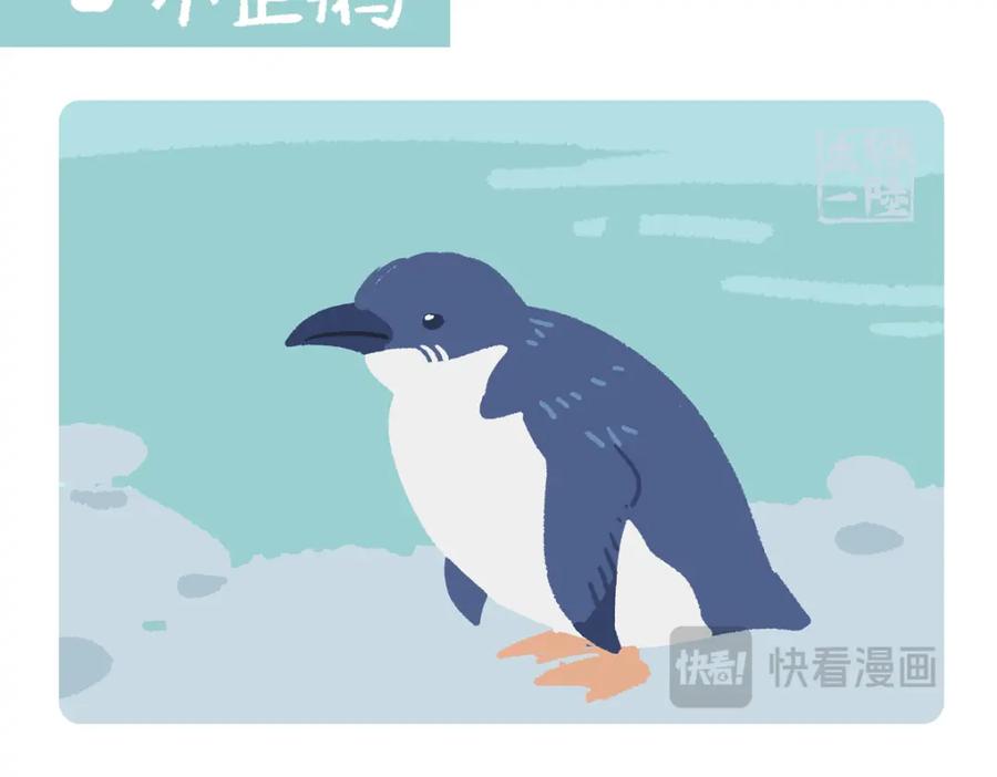 《胖达x胖达》第271话 第8页