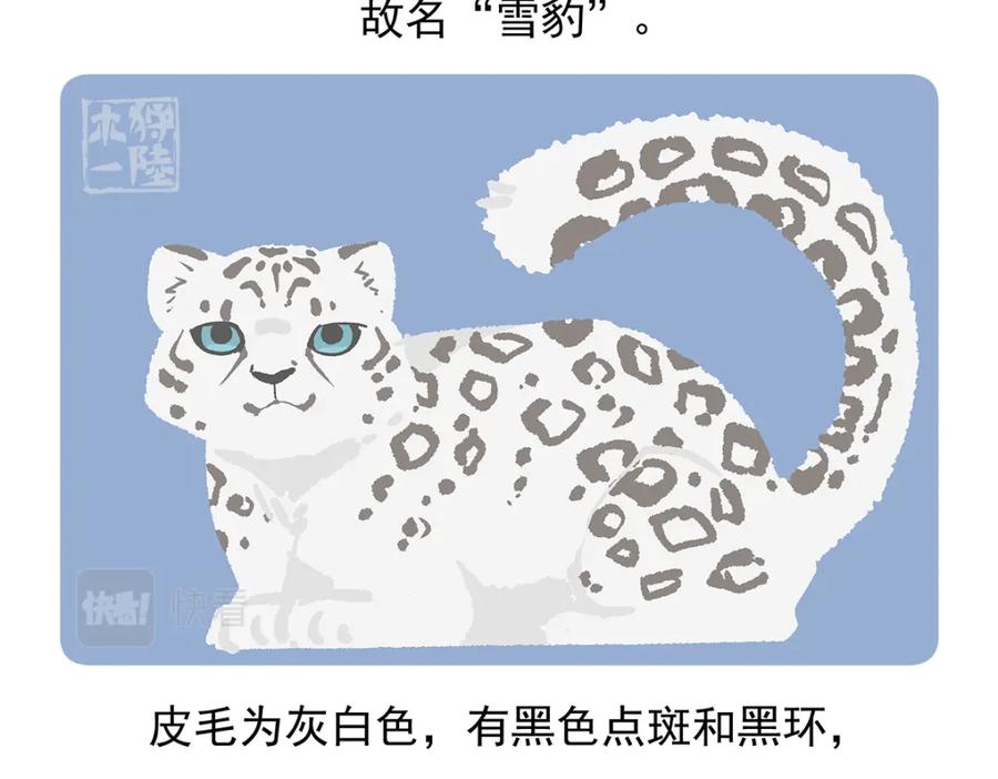 《胖达x胖达》第94话 第22页