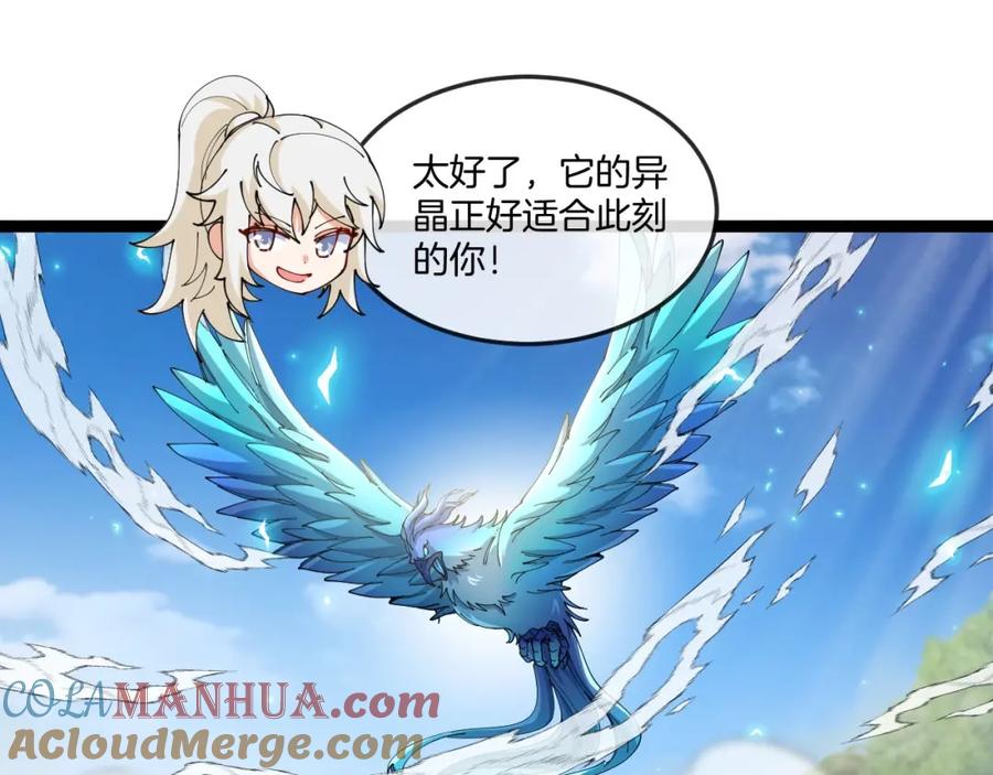 神级升级系统 第93话：冰晶白鸟 第61页