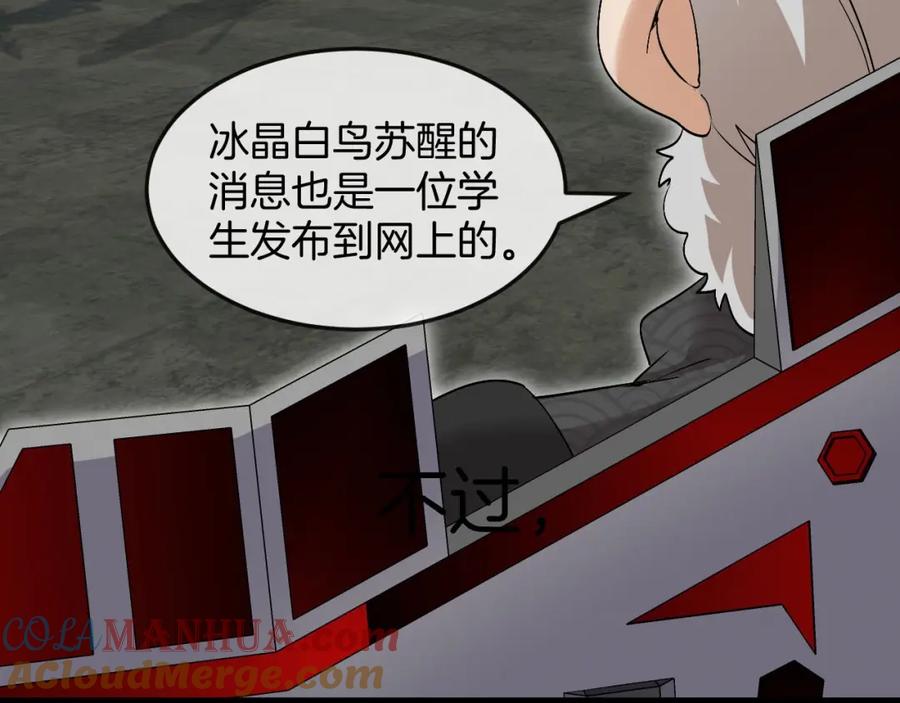 神级升级系统 第93话：冰晶白鸟 第94页