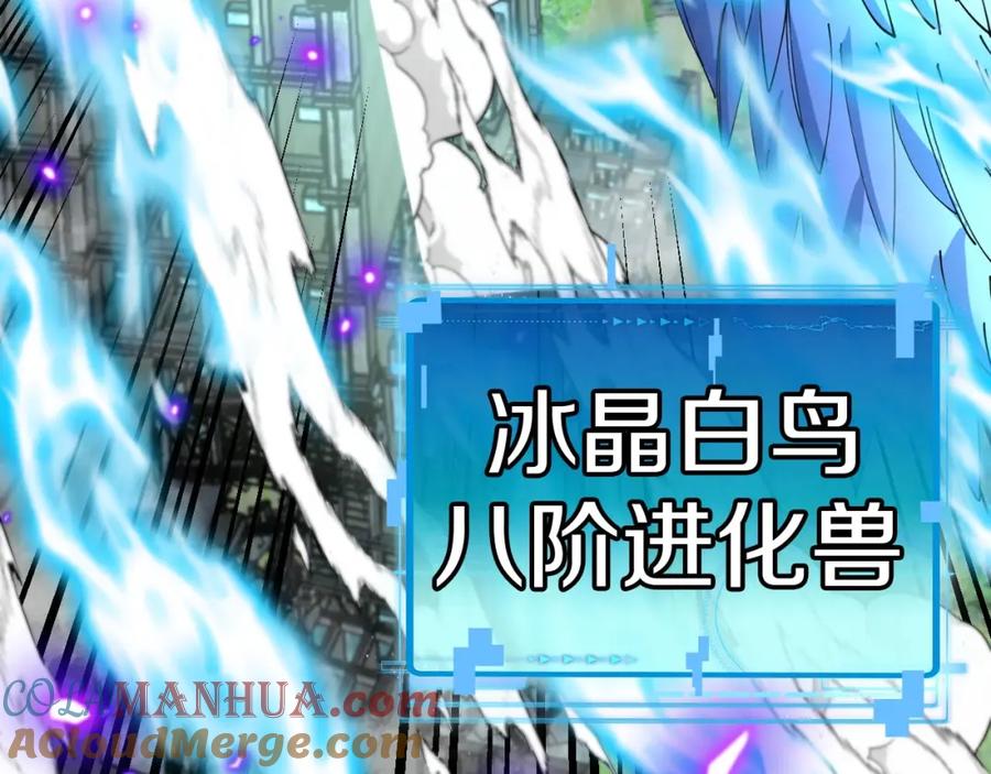 神级升级系统 第93话：冰晶白鸟 第52页