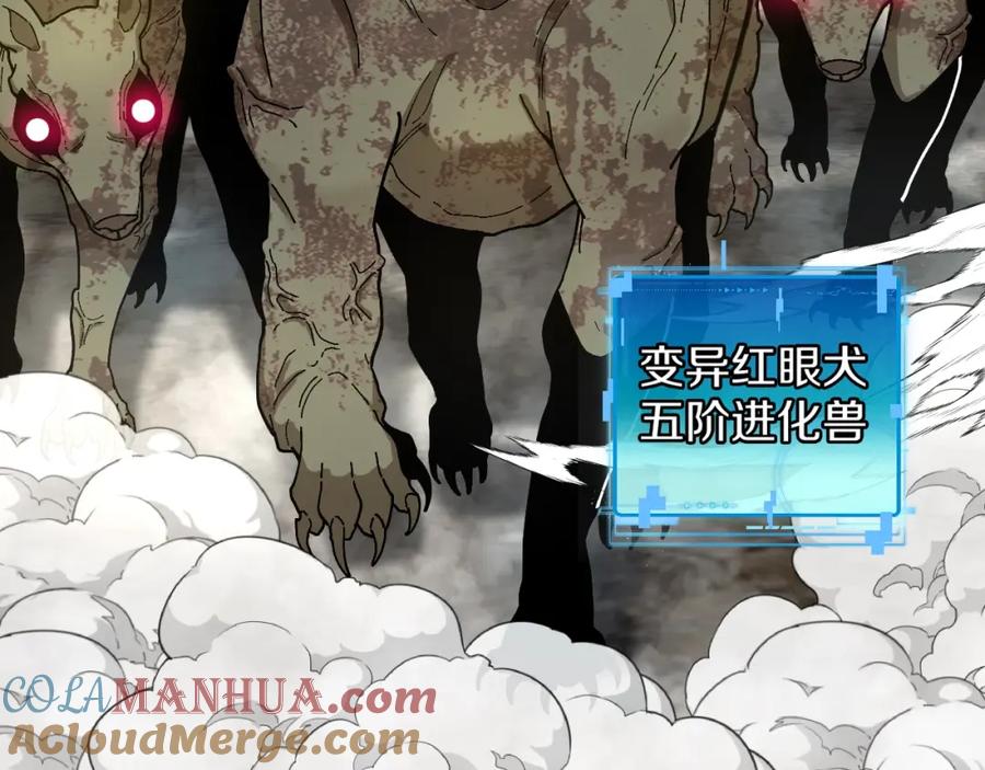 神级升级系统 第93话：冰晶白鸟 第16页
