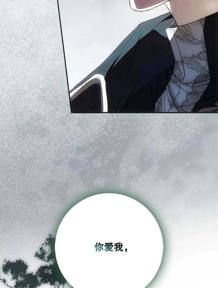 成为我笔下男主之妻 108.讨伐的秘密 第79页