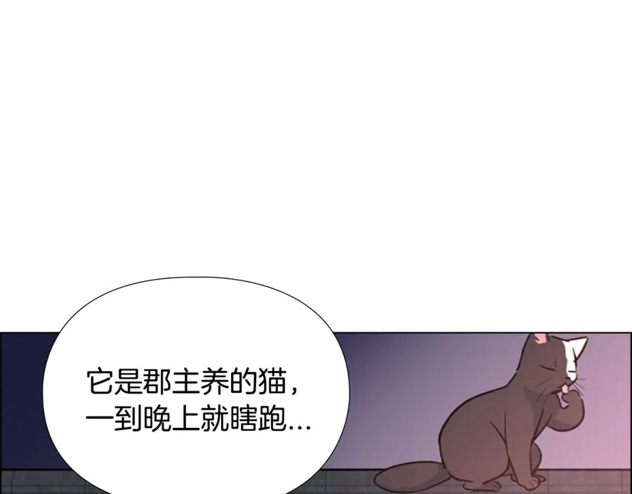 《逃婚郡主和她的影卫们》第10话 决定 第39页