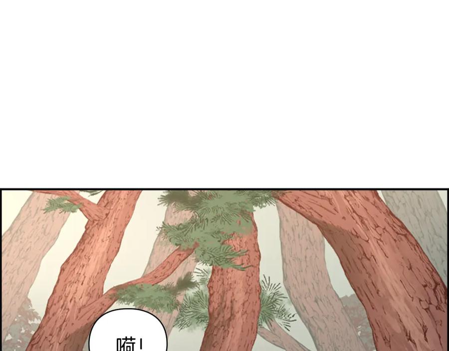 《逃婚郡主和她的影卫们》第11话 他的关心 第18页