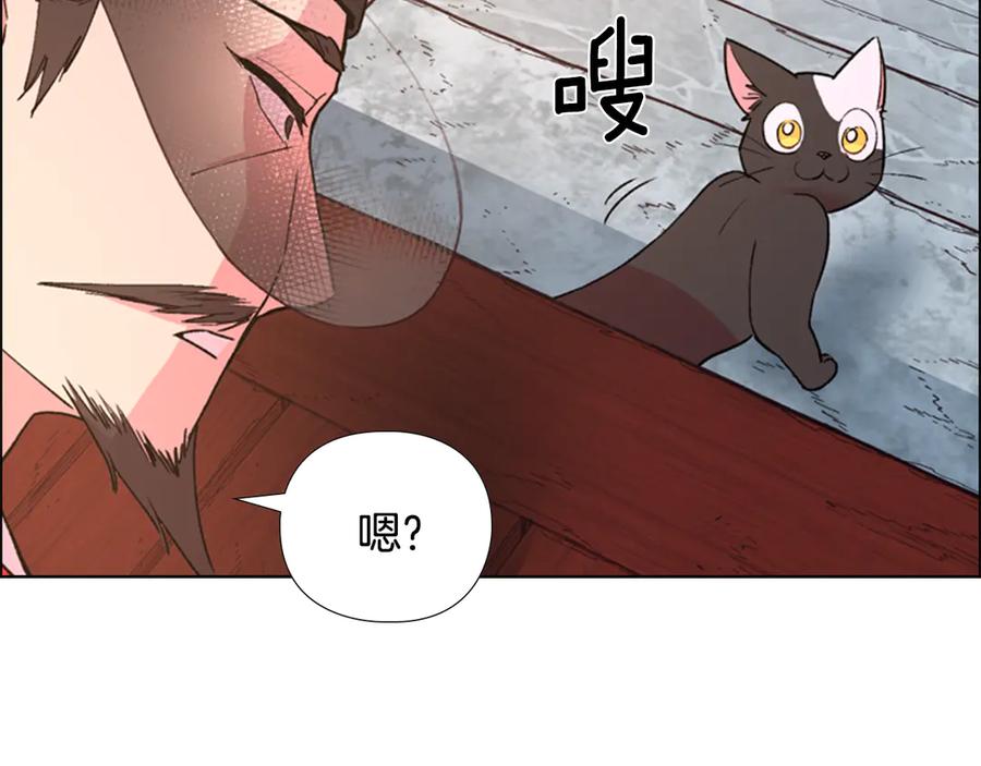 《逃婚郡主和她的影卫们》第5话 正式与非正式 第16页