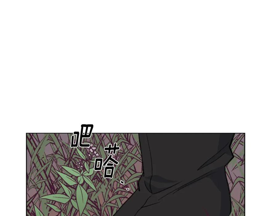 《逃婚郡主和她的影卫们》第7话 驸马人选 第36页