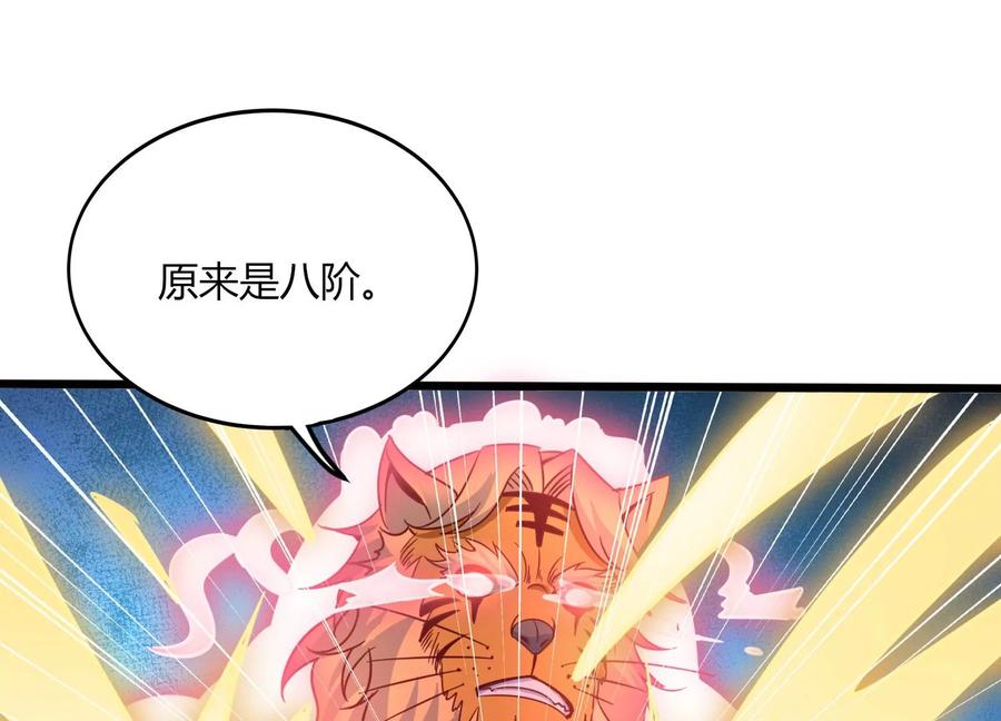 《神澜奇域无双珠》第48话 比武招亲？ 第54页
