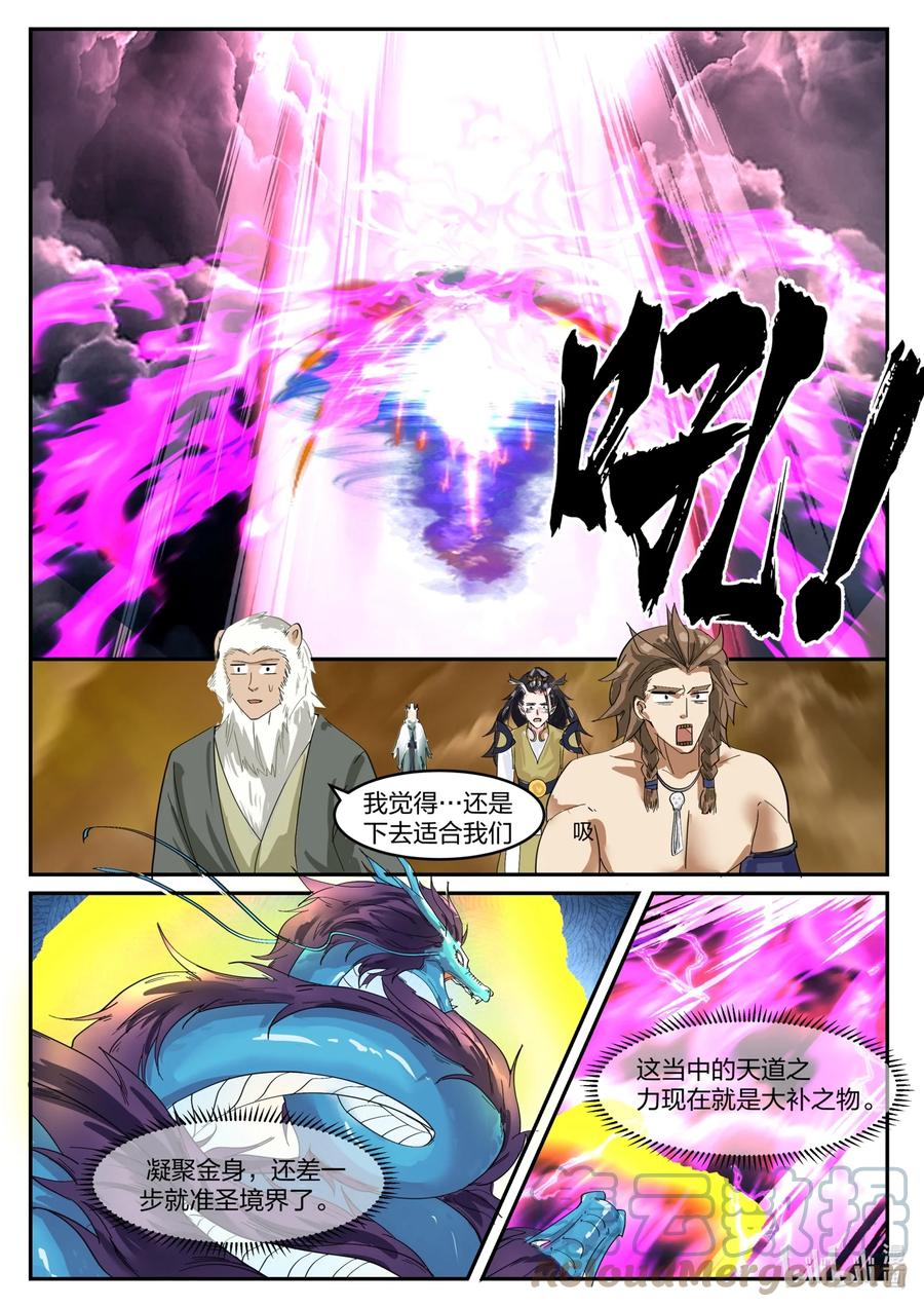 神龙王座 126 第一百二十六话 第3页