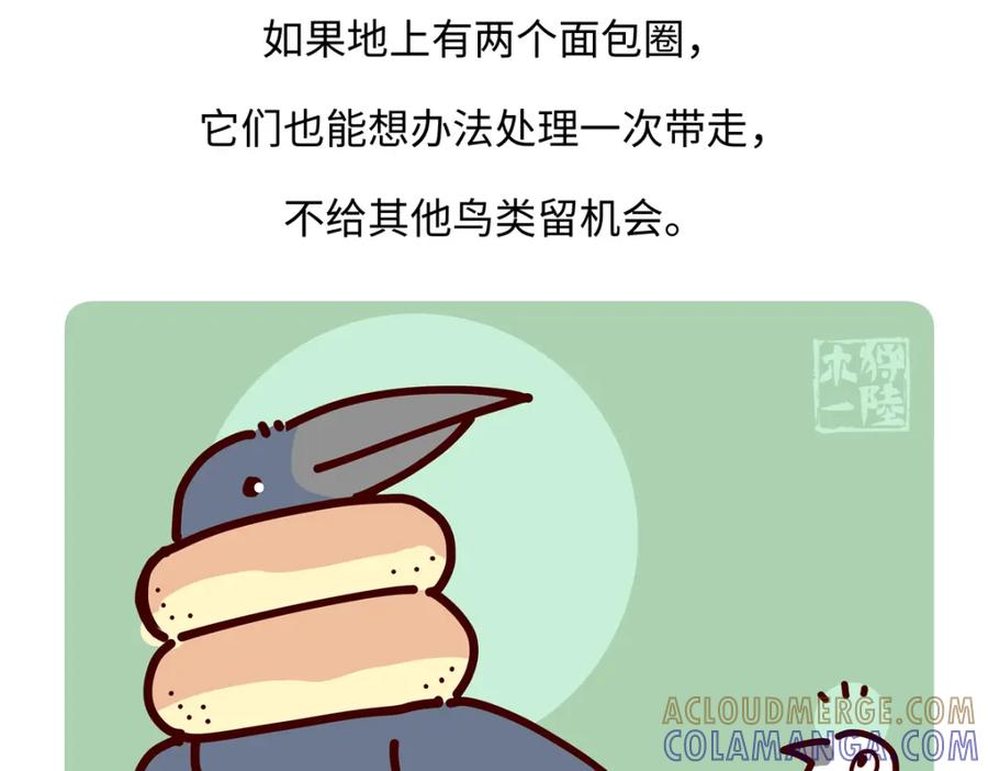 《胖达x胖达》第245话 第29页