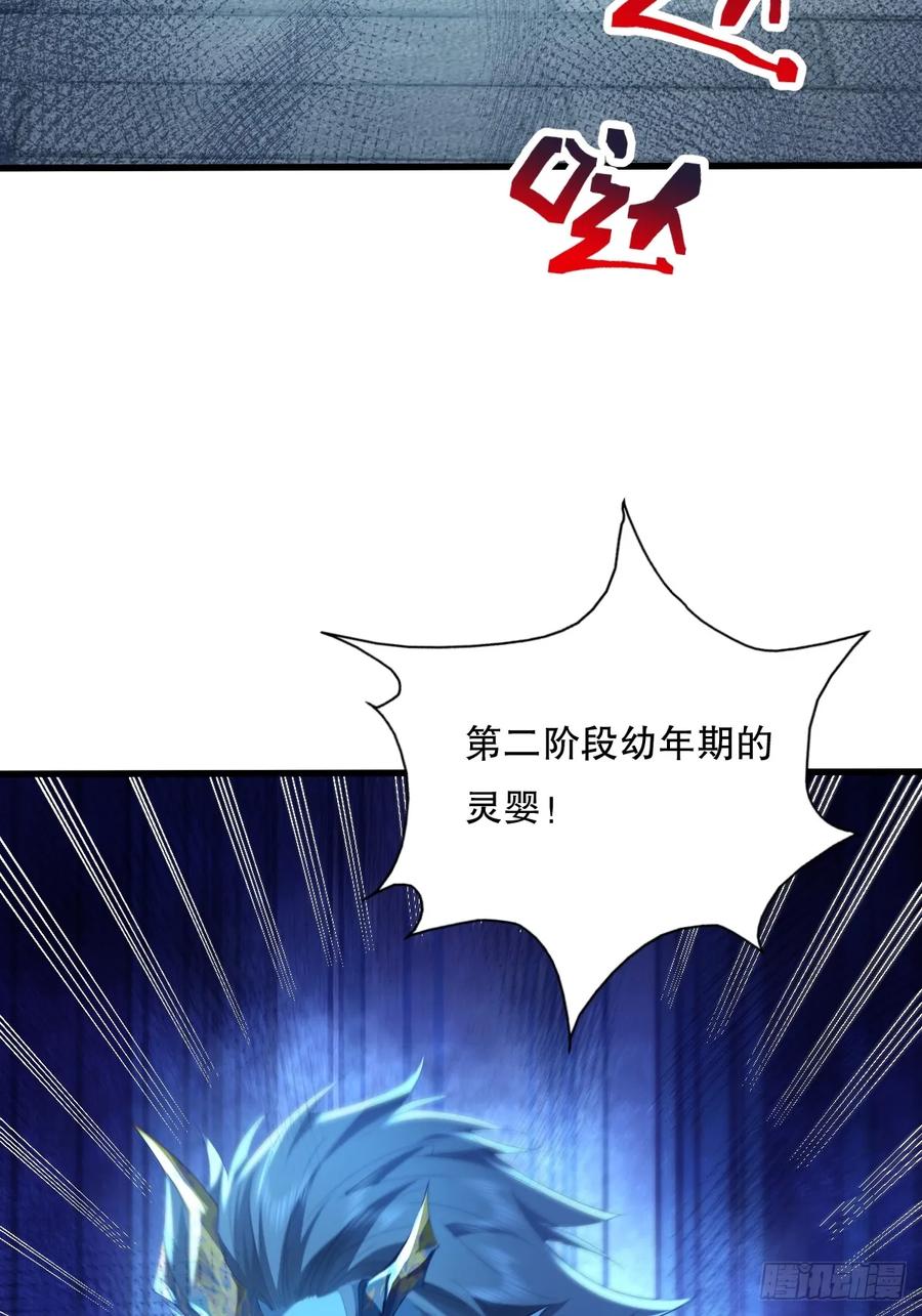 51.jpg